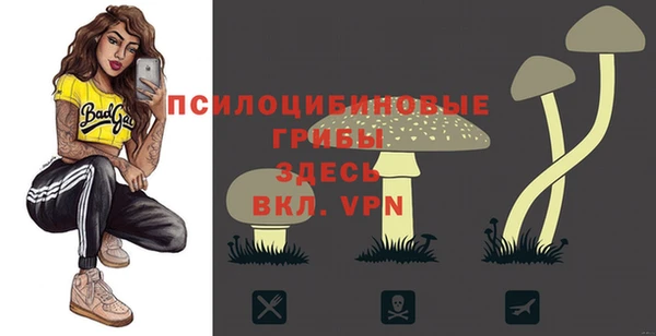марки nbome Алексеевка