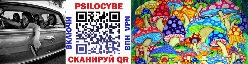 Галлюциногенные грибы Psilocybe  Сольцы 